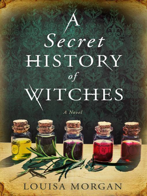 Title details for A Secret History of Witches by Louisa Morgan - Wait list